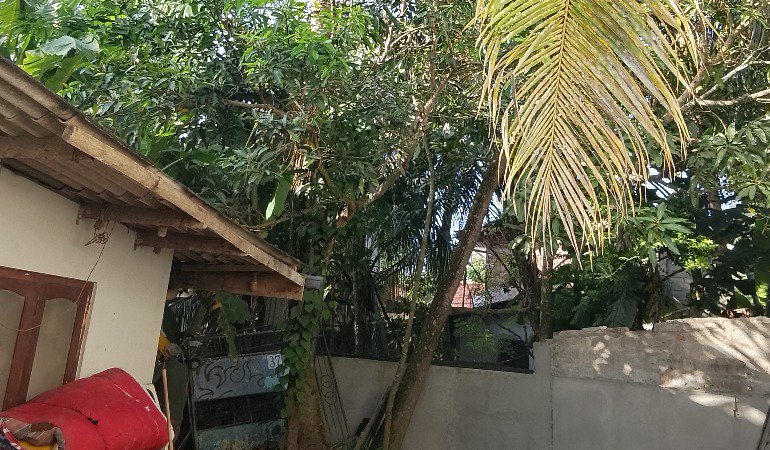 Batagoda property